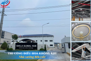 Read more about the article Hệ Thống Điều Hòa Bến Lức | Daikin VRV 6A 550HP